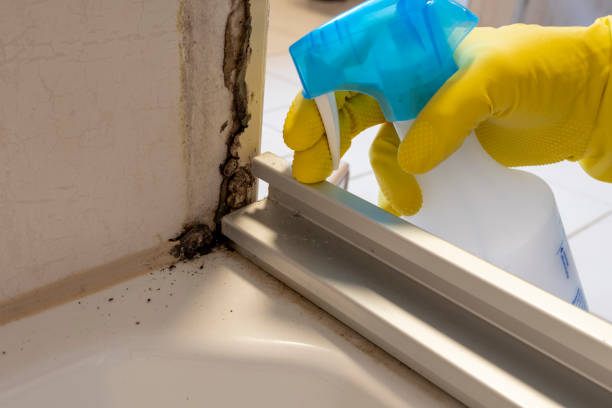 Best Crawl Space Mold Removal  in Opelousas, LA