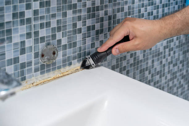 Best Black Mold Removal  in Opelousas, LA