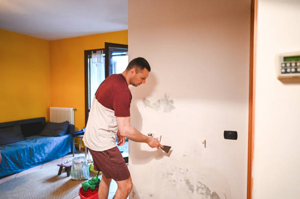 Reliable Opelousas, LA Mold Removal Solutions